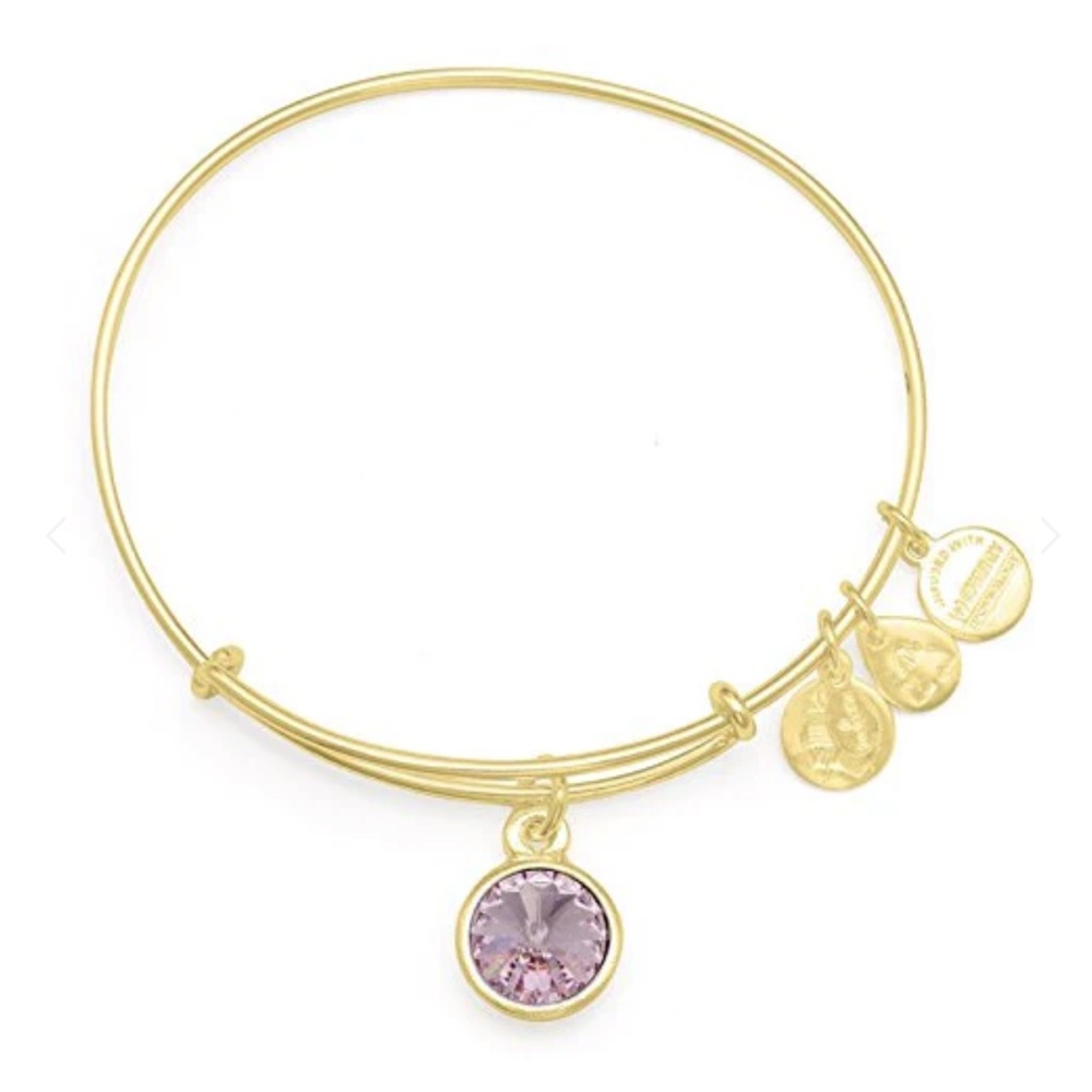 ALEX AND ANI CRYSTAL BIRTHSTONE LIGHT AMETHYST PURPLE JUNE GOLD CHARM BRACELET